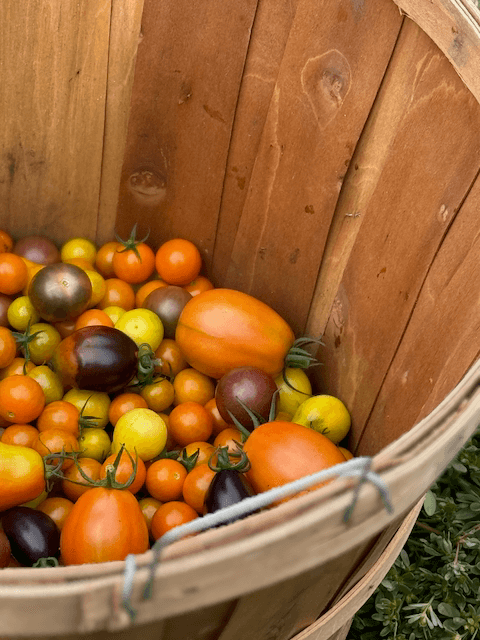 Tomatoes and peppers